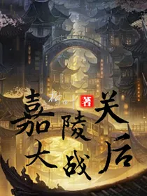 嘉陵关大战后