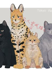 东京复仇者：当众人变成猫之后