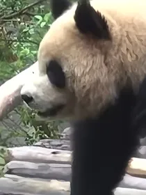 星学院同人文：逐星羁绊