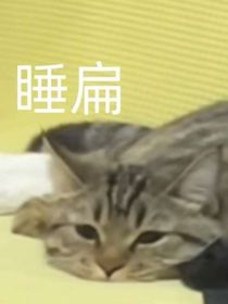 雪中不可谈的那一二事