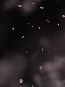 隐匿星星的孤独