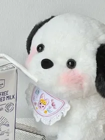 XP文