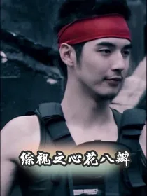 综视之心花八瓣