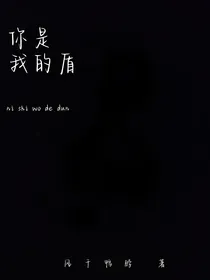 你是我的盾