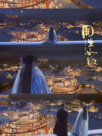 周生如故之南辰王府的小殿下