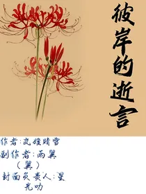 斗龙：彼岸的逝言