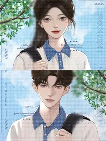 暗恋P