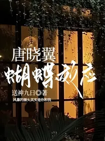 唐晓翼之蝴蝶效应
