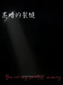 黑暗的裂缝