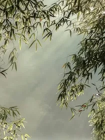随心诗