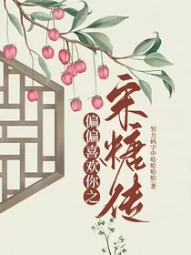 偏偏喜欢你之宋糖传