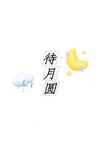 待月圆