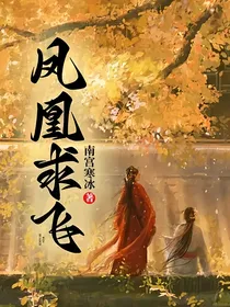 凤凰之上重生浴火