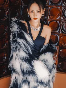 重生之美艳动人富婆姐姐