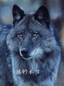 狼的本性