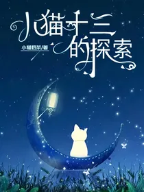 小猫十三的探索