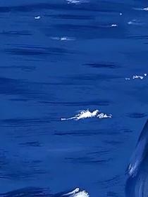 坠海的星
