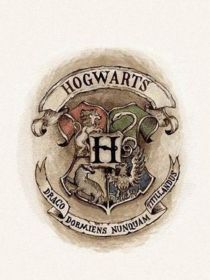 HP：我的魔法人生