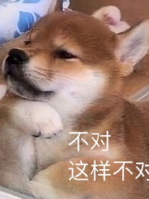 周九良：良的粥——d023