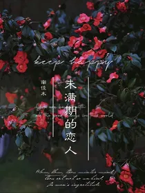 热血街区：未满期的恋人