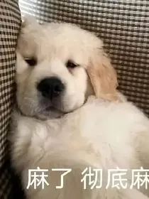 综穿：当影视人物智商正常