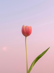 让我独享他一人