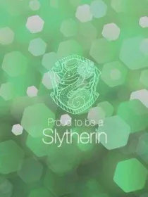 HP：斯莱特林专属