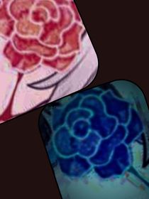 落日浮萍