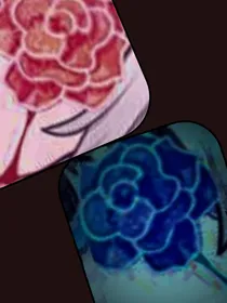 落日浮萍