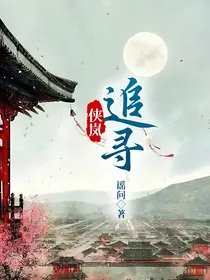侠岚：追寻