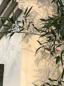 我在无限游戏当bug的那些日子