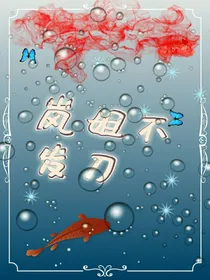 岚姐不发刀