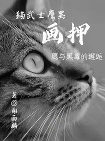 猫武士鹰黑——画押