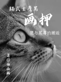 猫武士鹰黑——画押-d916