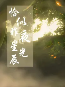 恰似昨夜星光辰