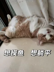 终极系列：白曦瑶的终极之旅