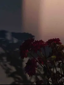 吐槽（评论区也能吐槽）