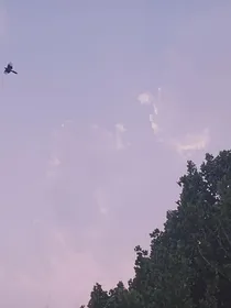 向心：