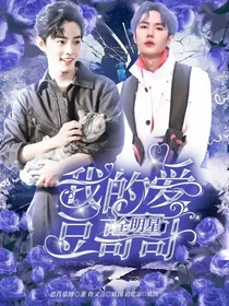 全明星：我的爱豆哥哥（肖战王一博）