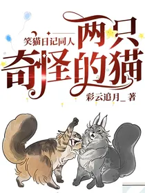 笑猫日记同人：两只奇怪的猫