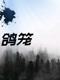 鸽笼-d984