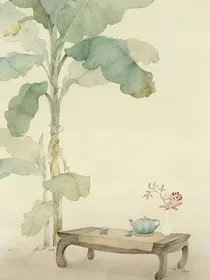 综影视：好感值拉满