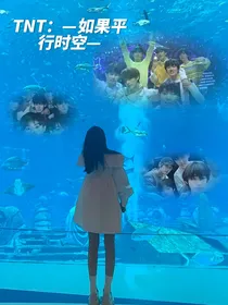 TNT：如果平行时空