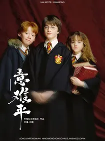 哈利波特：意难平