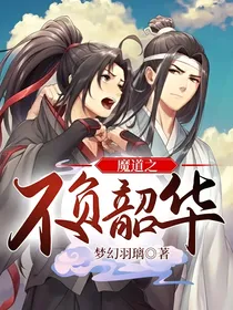 魔道之不负韶华