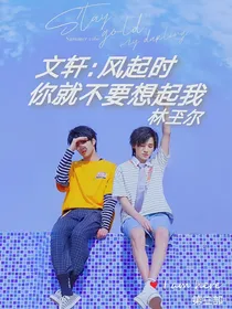 文轩：风起时，你就不要想起我