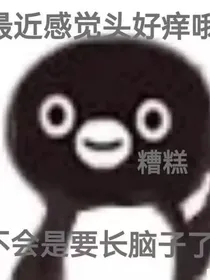 至夏的宝可梦日常