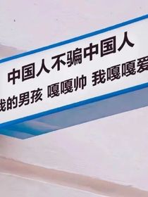 鹅的恋鑫日记