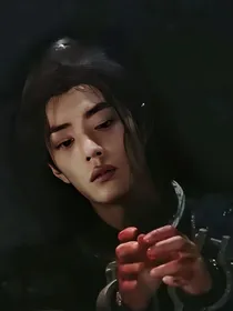 怡心怡意（陈情令续）