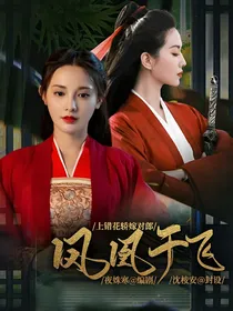 上错花轿嫁对郎：凤凰于飞